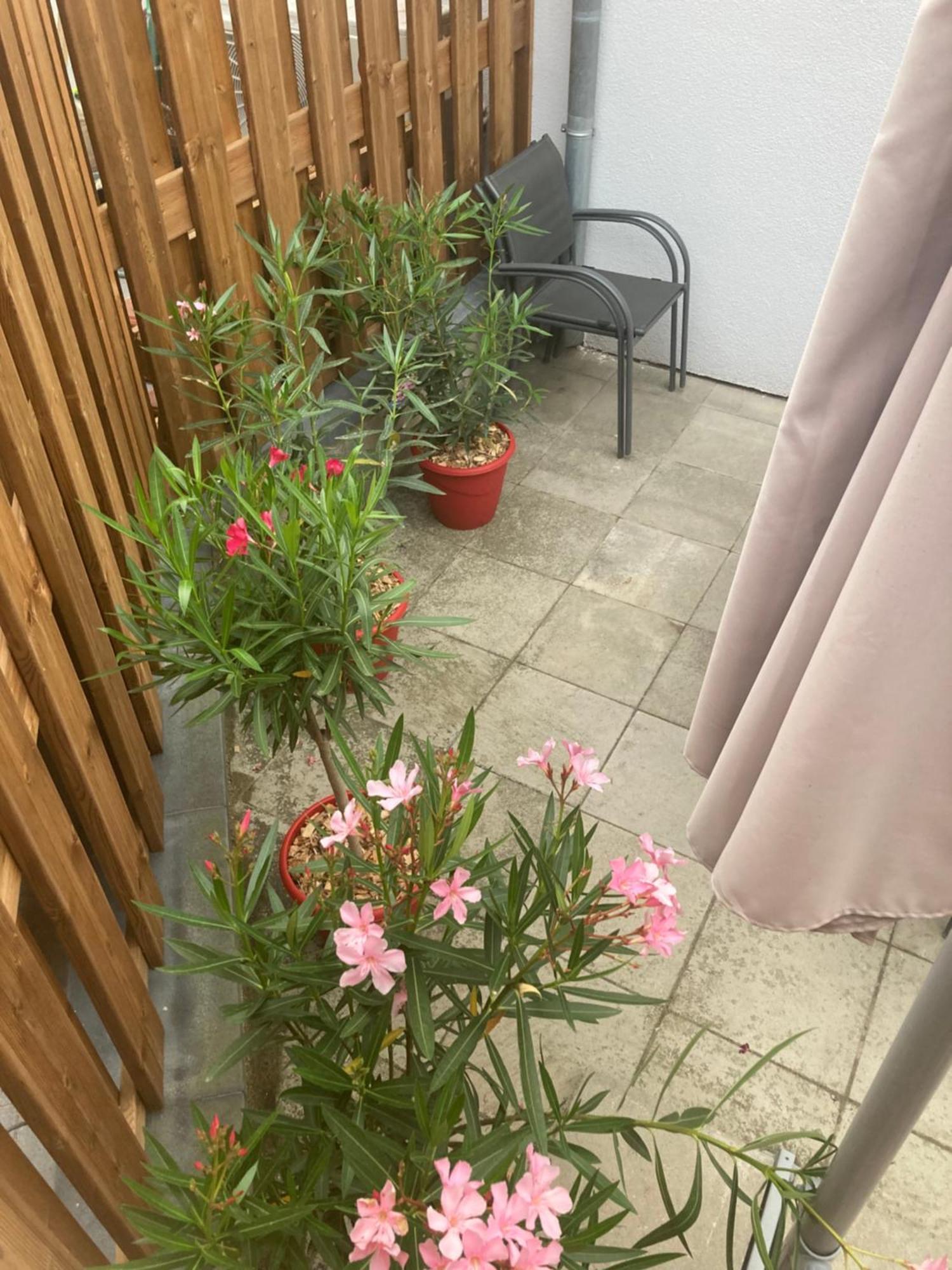 Juste un rayon de soleil Villa Saasenheim Eksteriør billede